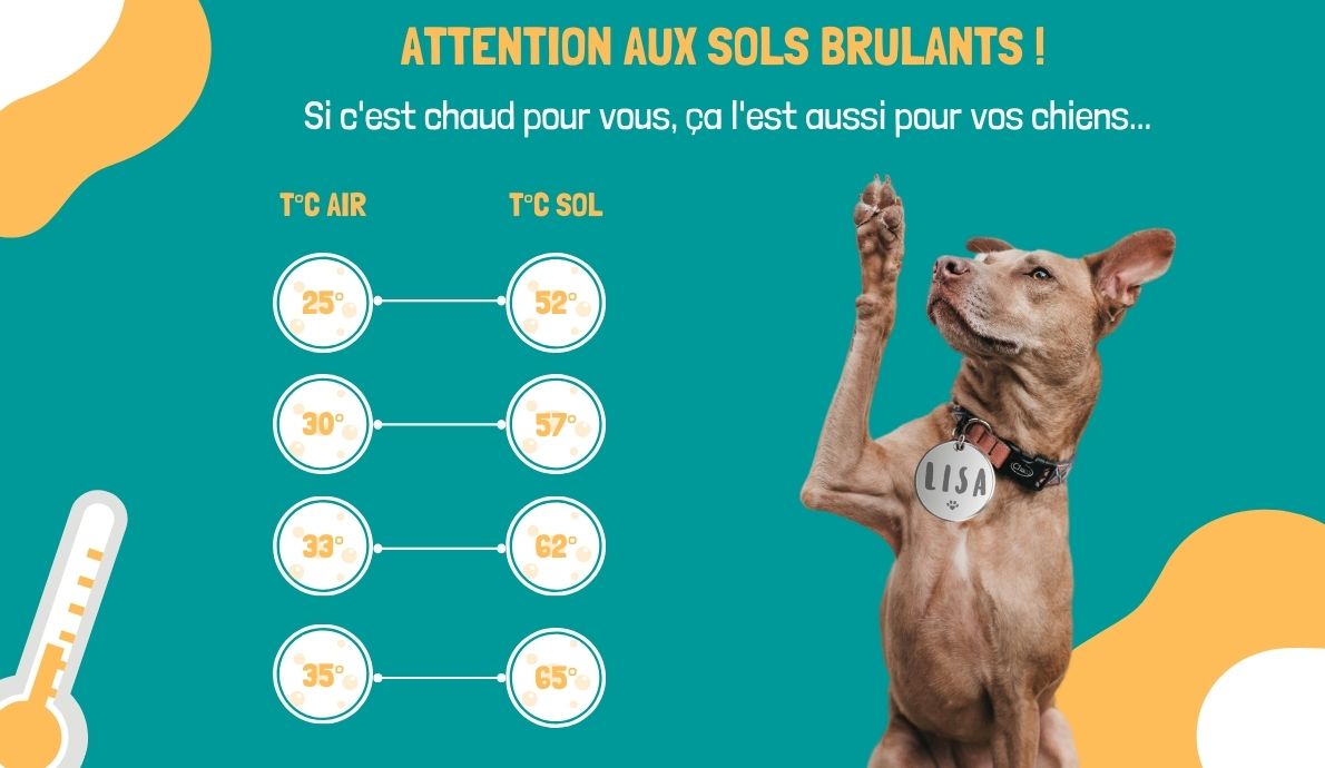 Attention aux sols brulants !